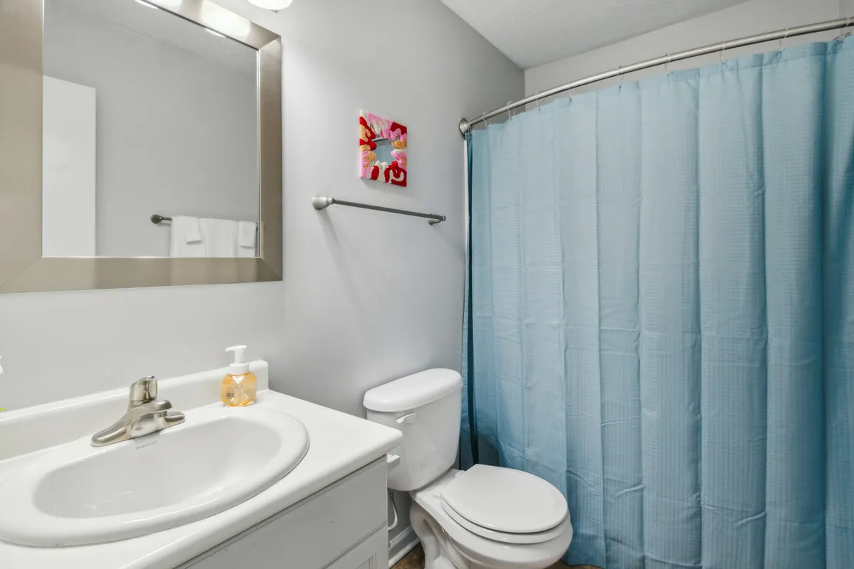 This image displays a modern bathroom scene featuring a vanity with a sink, a toilet, a shower curtain, and attractive wall art. The lighting and decor convey a fresh, clean, and calming atmosphere, ideal for personal grooming and relaxation.